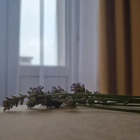 Апартаменти Dream Team Krolowej Jadwigi