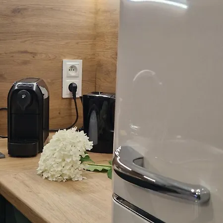 Dream Team Krolowej Jadwigi