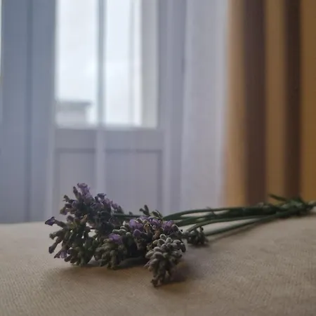 Dream Team Krolowej Jadwigi Апартаменти Бидгощ