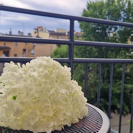 Dream Team Krolowej Jadwigi 公寓