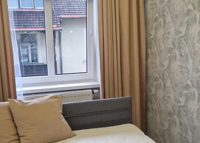 Dream Team Krolowej Jadwigi