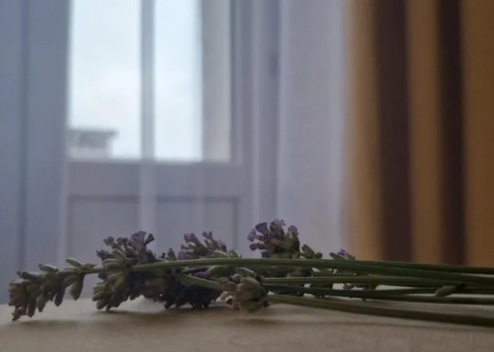 Апартаменти Dream Team Krolowej Jadwigi