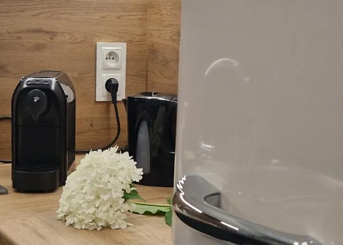 Dream Team Krolowej Jadwigi