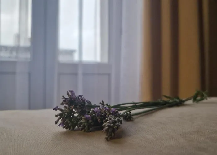 Dream Team Krolowej Jadwigi Апартаменти Бидгощ