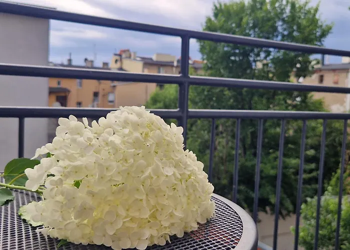 Dream Team Krolowej Jadwigi Апартаменти